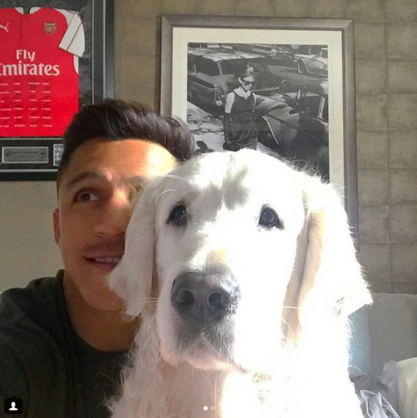 晒狗狂魔！桑切斯和他的爱狗们