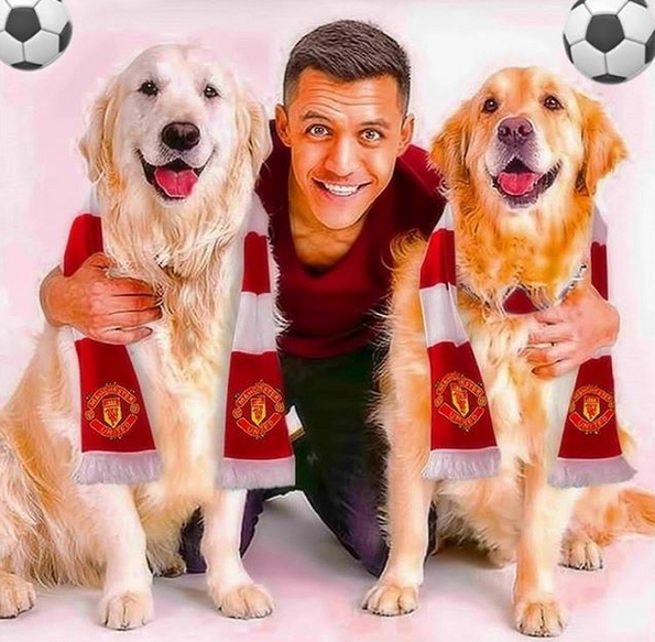 晒狗狂魔！桑切斯和他的爱狗们