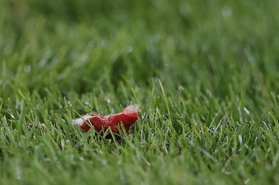 经典回顾 2020赛季中超精彩瞬间