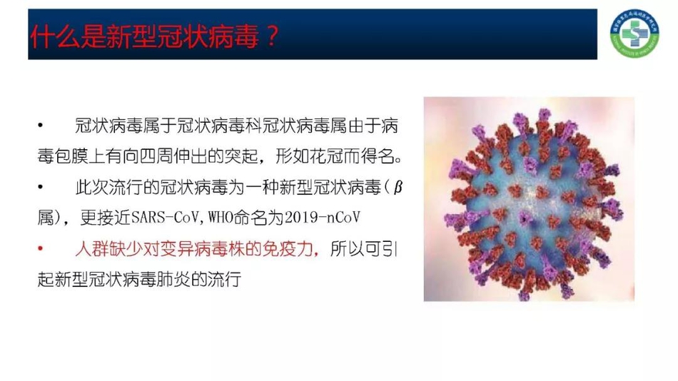 体育总局下发肺炎防治手册 明确运动员发热处置流程(全文)