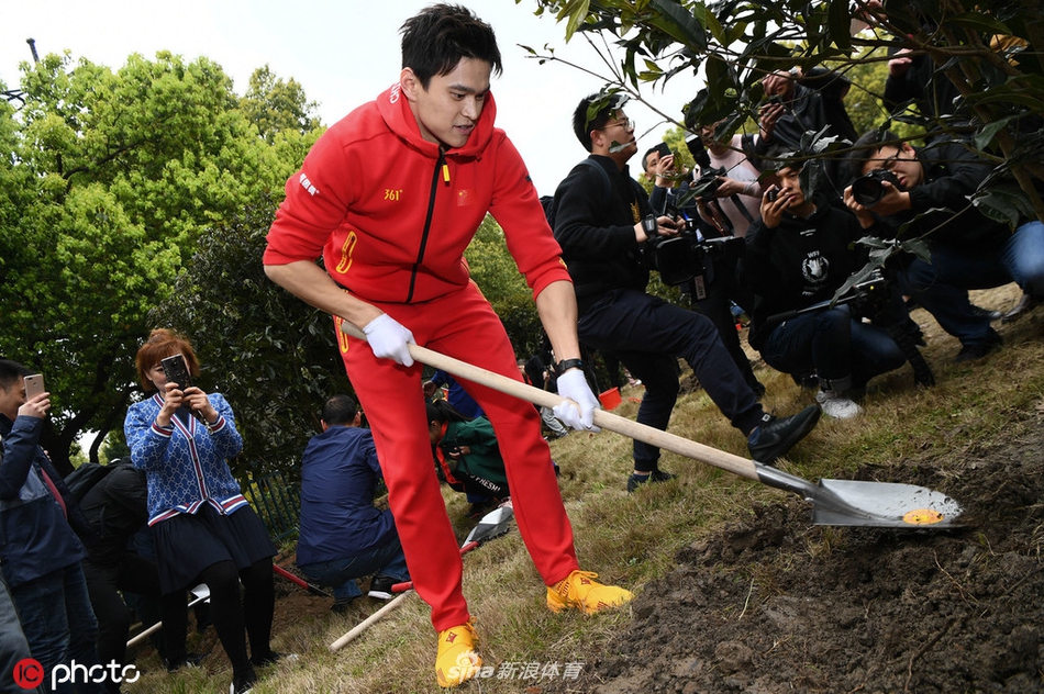 孙杨叶诗文领衔12位浙江籍奥运冠军种树