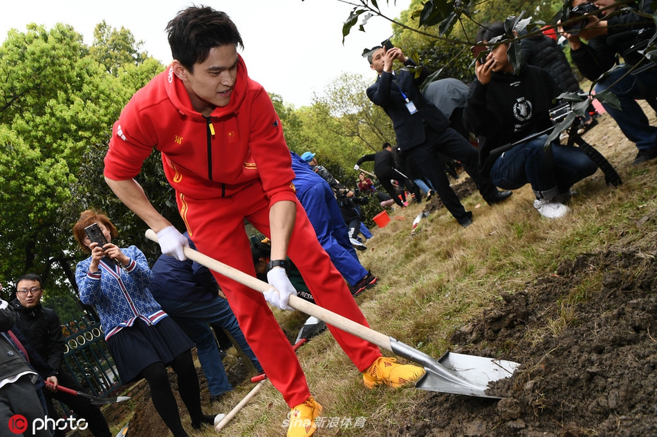 孙杨叶诗文领衔12位浙江籍奥运冠军种树