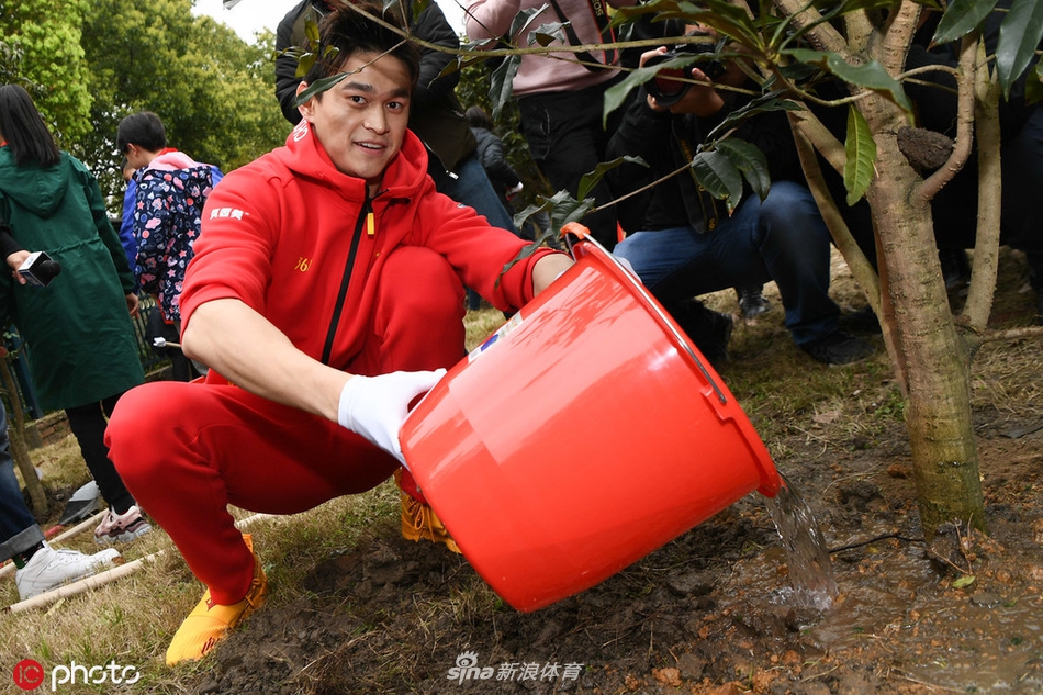 孙杨叶诗文领衔12位浙江籍奥运冠军种树