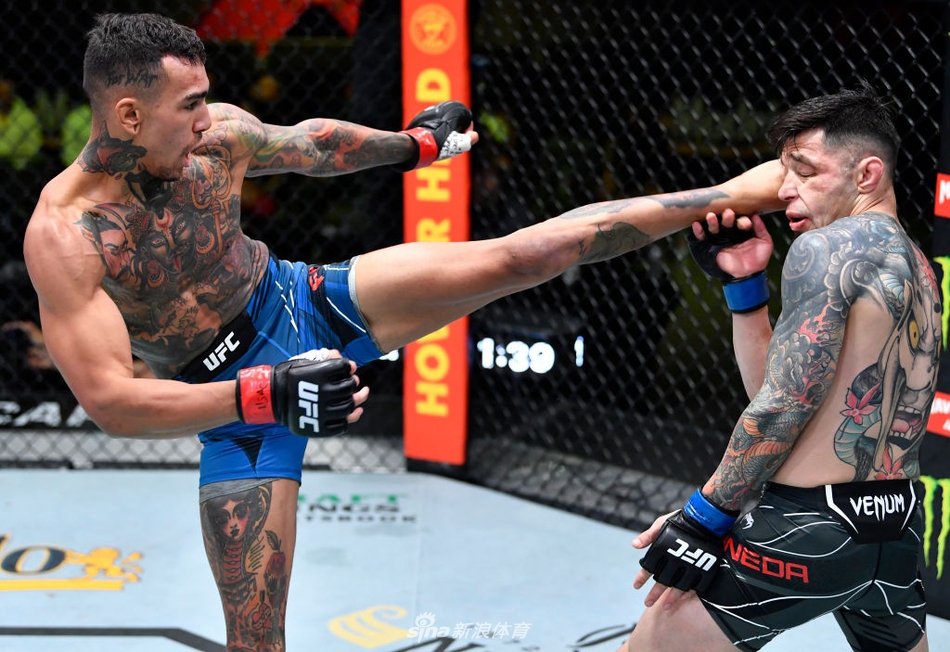 安德烈-菲利 VS 丹尼尔-皮内达 (2)