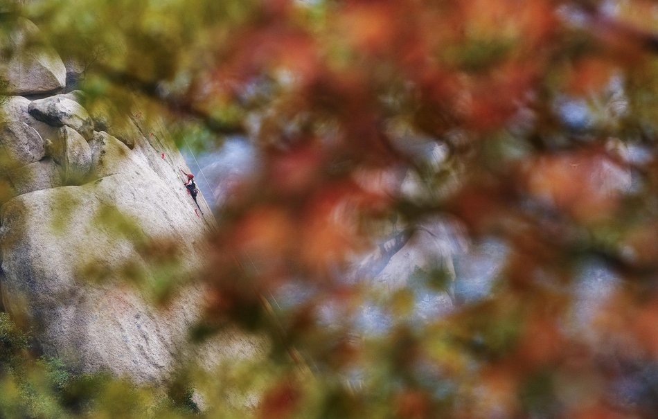 2018新华社体育年度照片 冬奥唱大戏