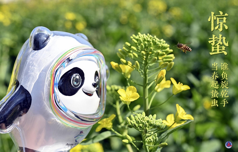 冰墩墩打卡二十四节气・惊蛰