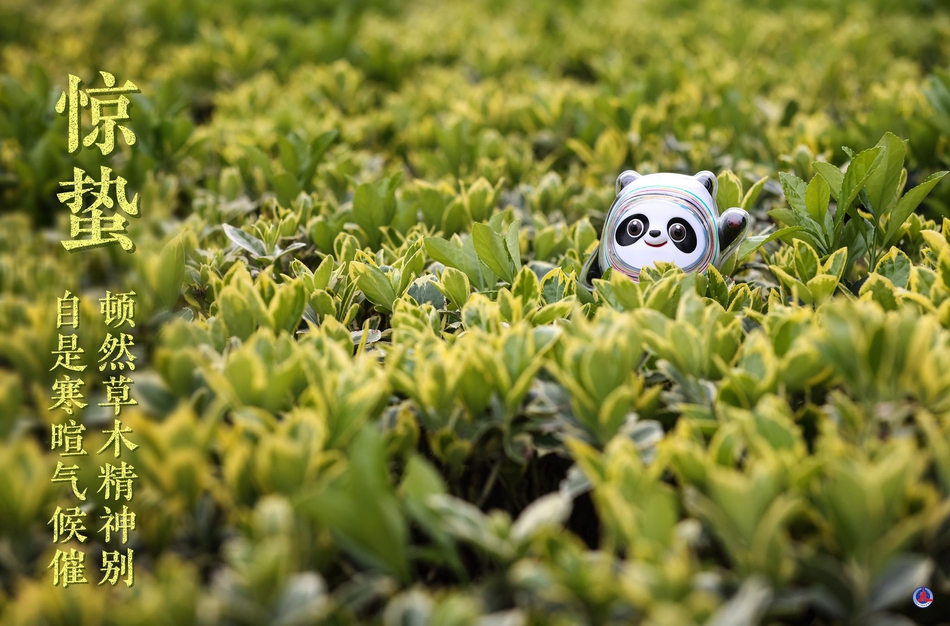 冰墩墩打卡二十四节气・惊蛰