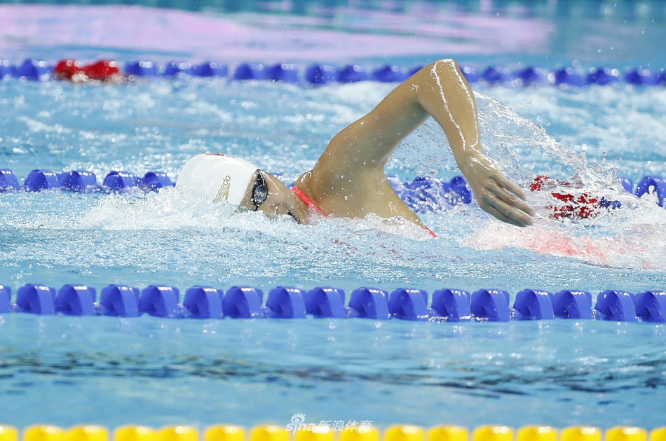 新浪直击中国女子接力夺冠