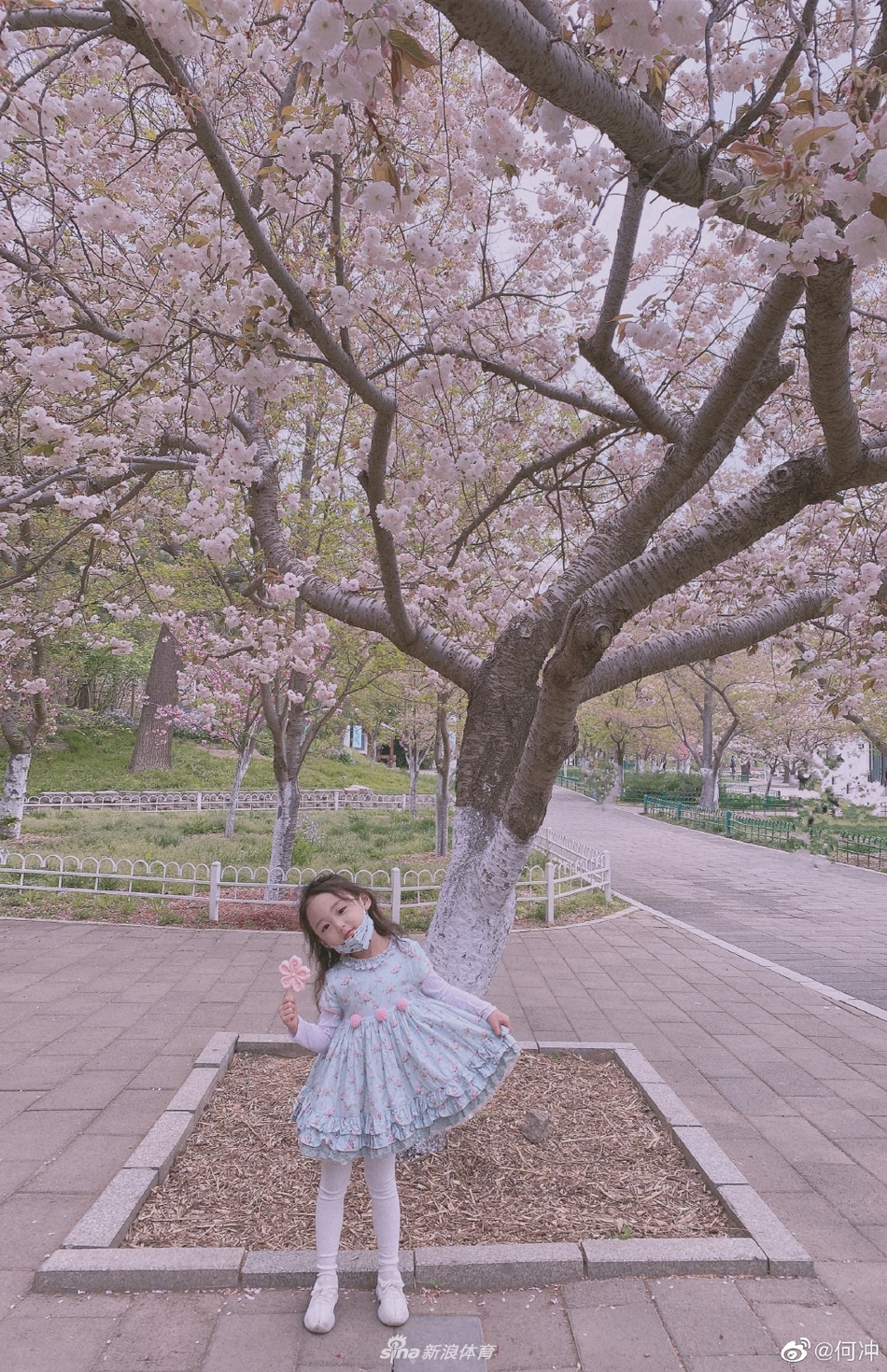 跳水奥运冠军何冲一家拍摄樱花全家福