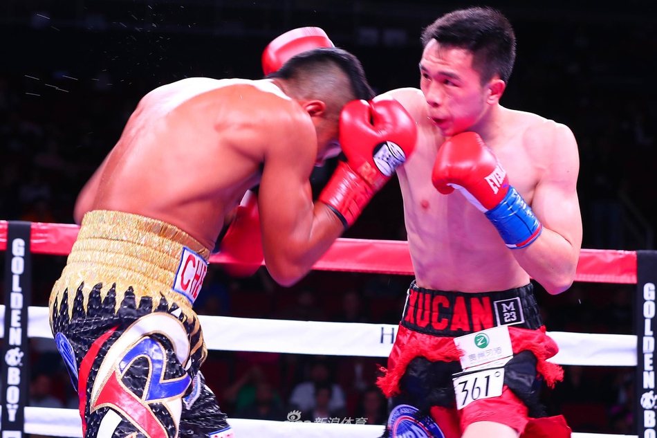 新浪直击徐灿赢得WBA世界金腰带