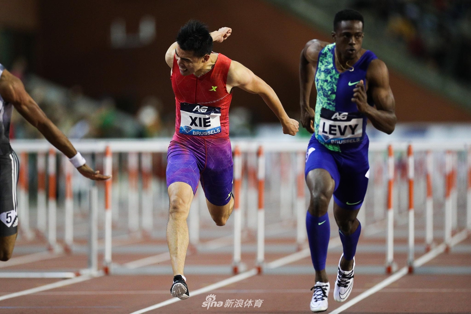 钻石联赛总决赛谢文骏获男子110米栏第五