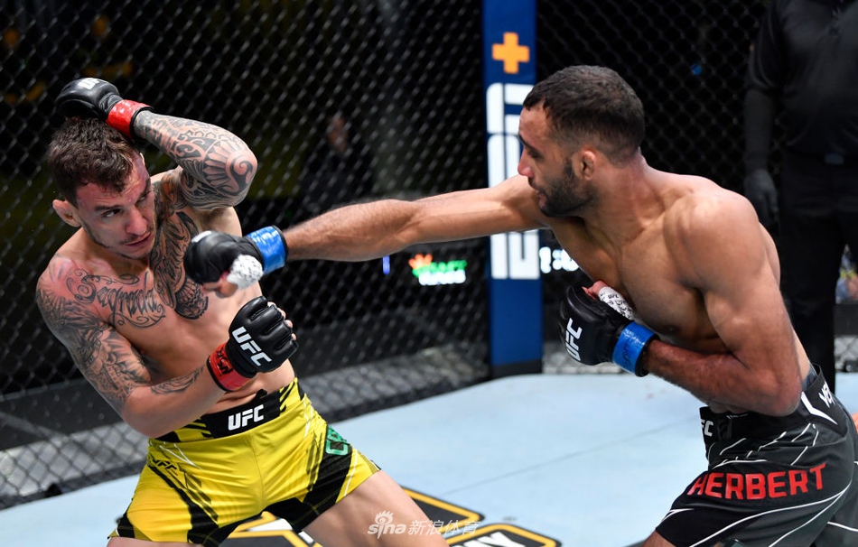 雷纳托-莫伊卡诺 VS 杰-赫伯特 (2)