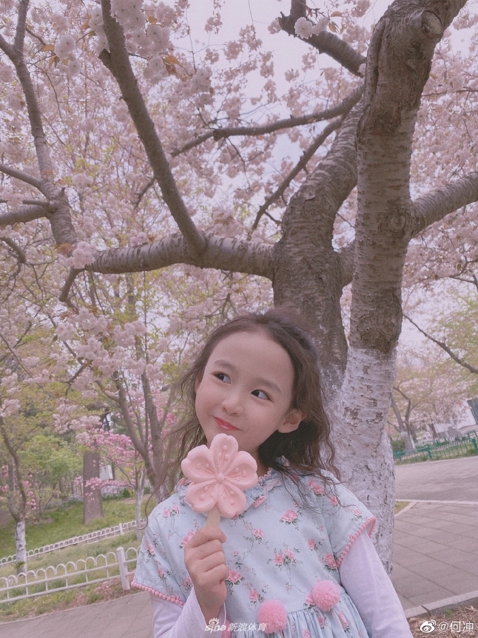 跳水奥运冠军何冲一家拍摄樱花全家福