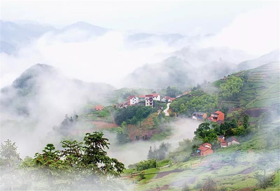 高清-王中王围棋争霸赛 最美嵊州风景好_高清图集_新浪网