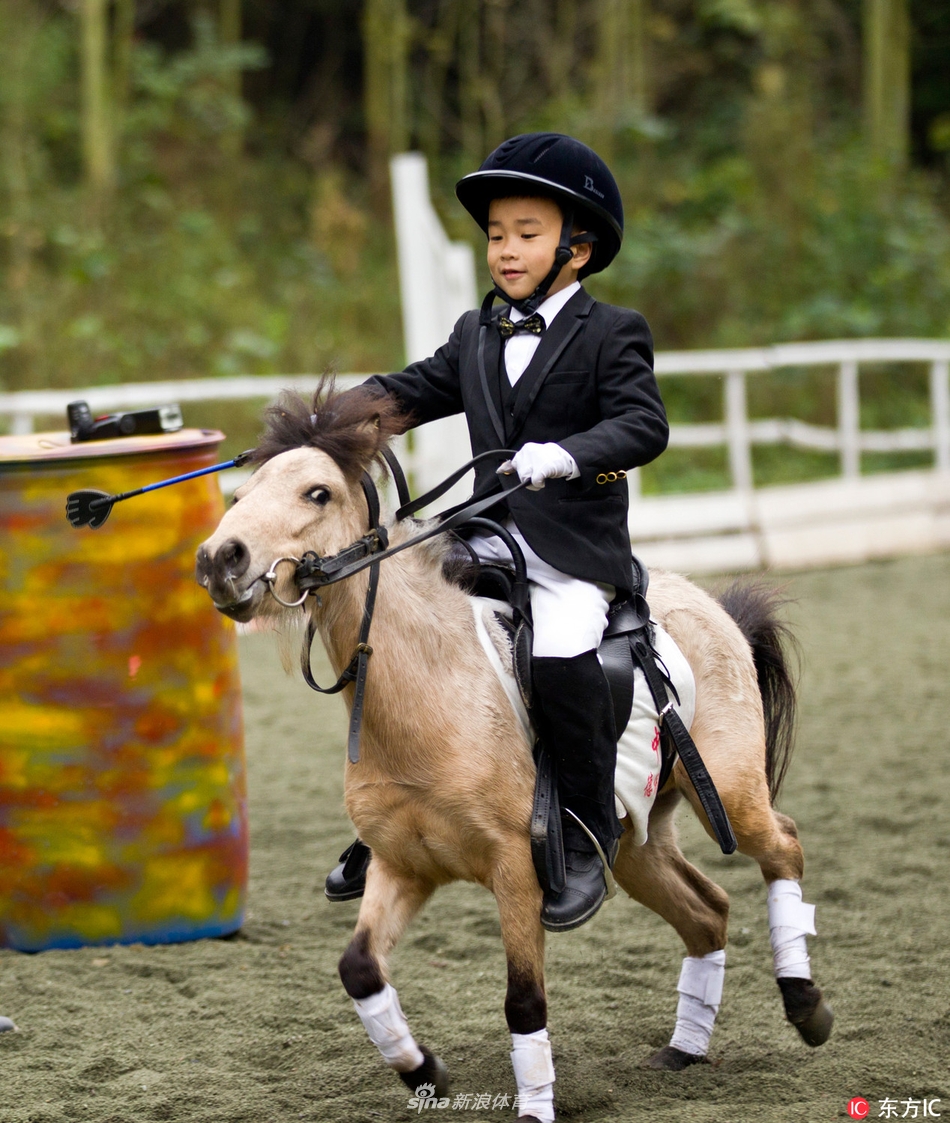 1 / 13 广西德保县矮马马术培训基地,骑手们训练矮马打马球.