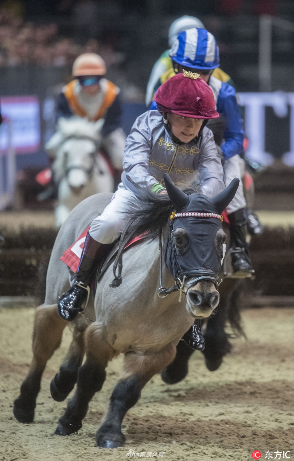 伦敦国际马展萌娃萌马齐上阵