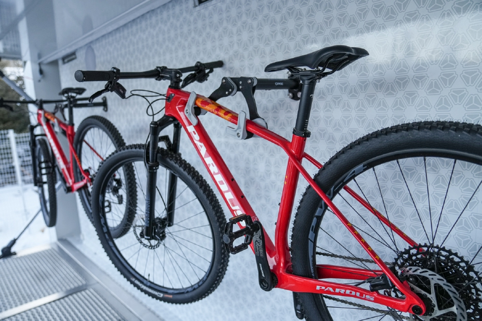 冬奥有泰山 一起向未来