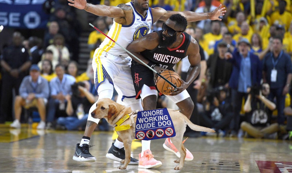 哈登眼睛充血被各种神P图玩坏！变身神盾局长和加勒比海盗