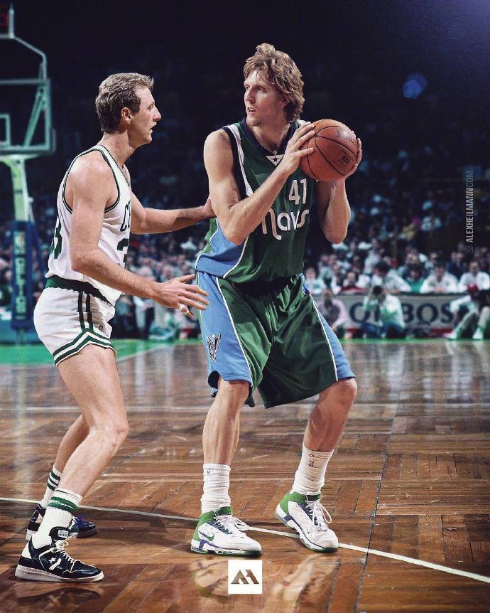 诺维茨基对战伯德