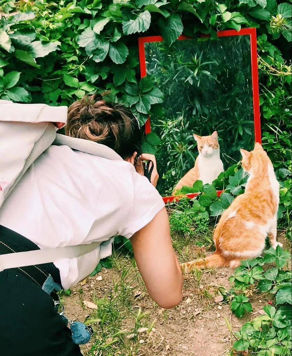 勒夫头回输在颜值！这对漫画里走出来的NBA情侣 简直是男女通吃！