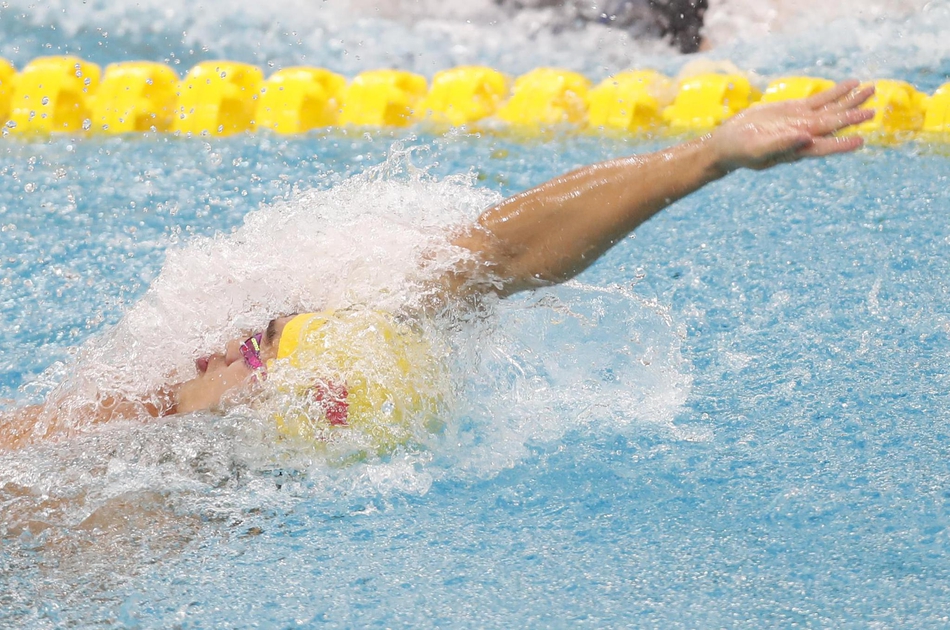 新浪直击游泳世界杯第二日