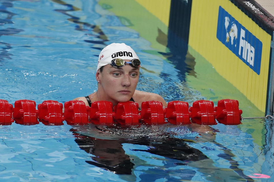 新浪直击游泳世界杯第二日