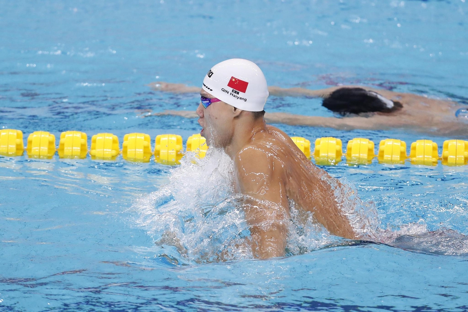 新浪直击游泳世界杯第二日
