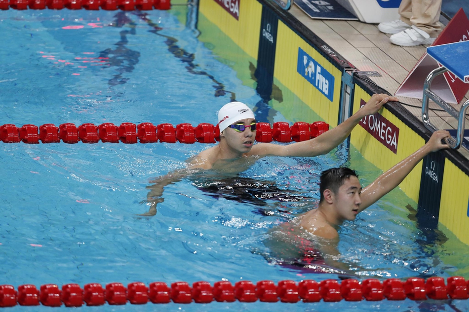 新浪直击游泳世界杯第二日
