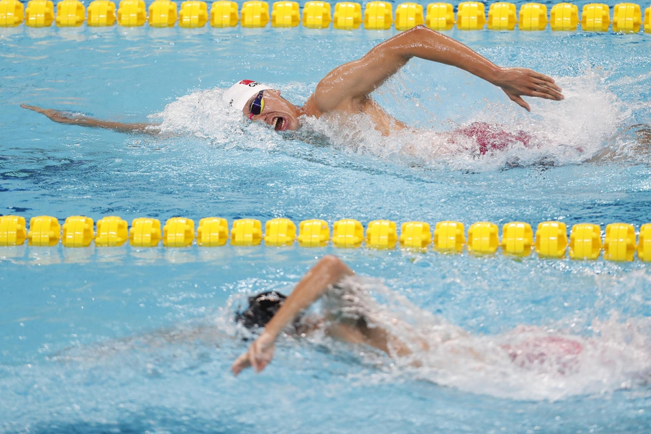 新浪直击游泳世界杯第二日