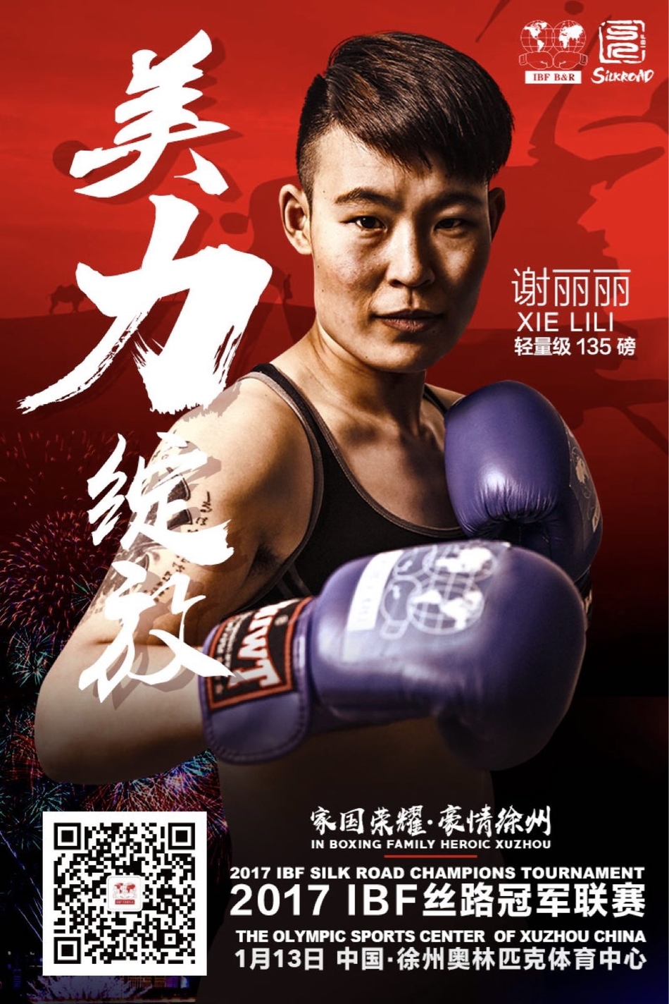 ibf职业拳击联赛徐州站海报