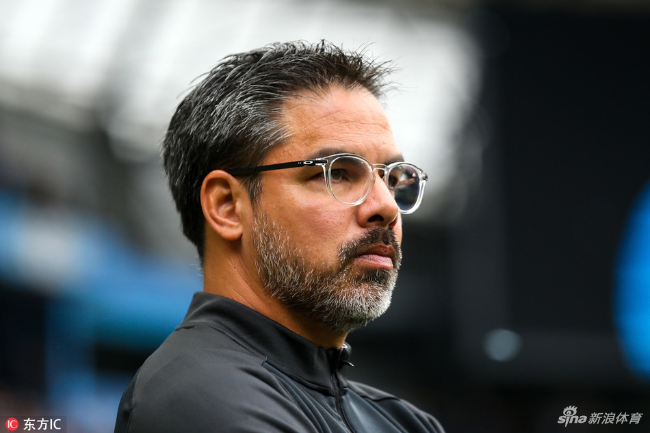 哈德斯菲尔德主帅瓦格纳