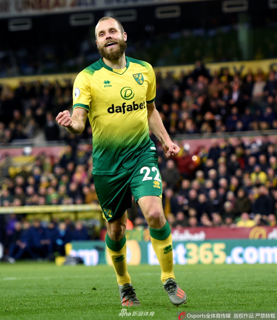 [英超]诺维奇2-2托特纳姆热刺