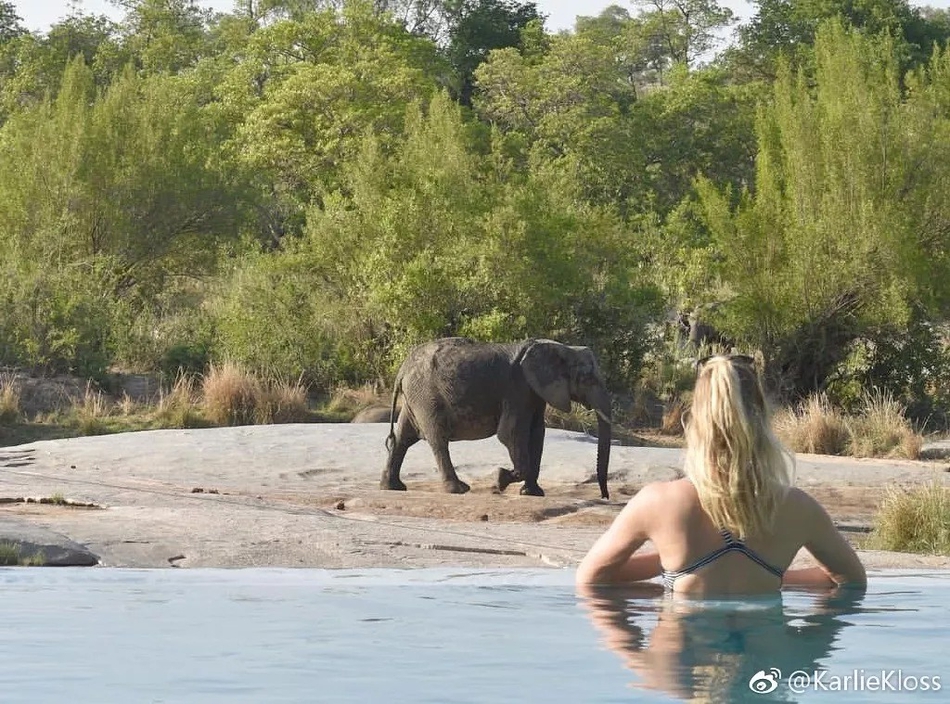 世界杯上惊艳全世界的女球迷找到了！竟是维密超模 跟浓眉有关系