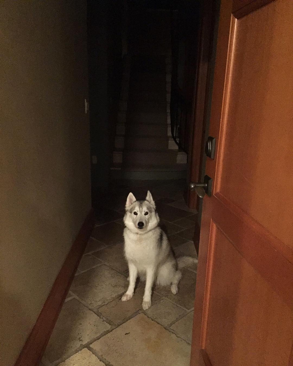 酸了酸了！又高又帅又富的他拥有全联盟球技最好的妻子