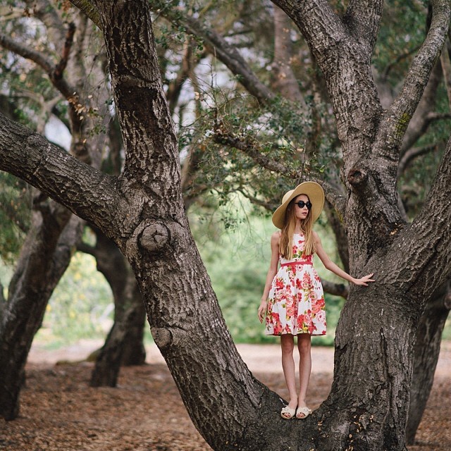震撼人心的清纯美！21岁哥伦比亚大学舞蹈系高材生兼黄蜂啦啦队员