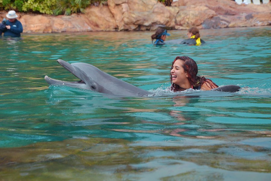 高能预警！身材超超超超超劲爆的热火拉拉队员 她还是心理学博士