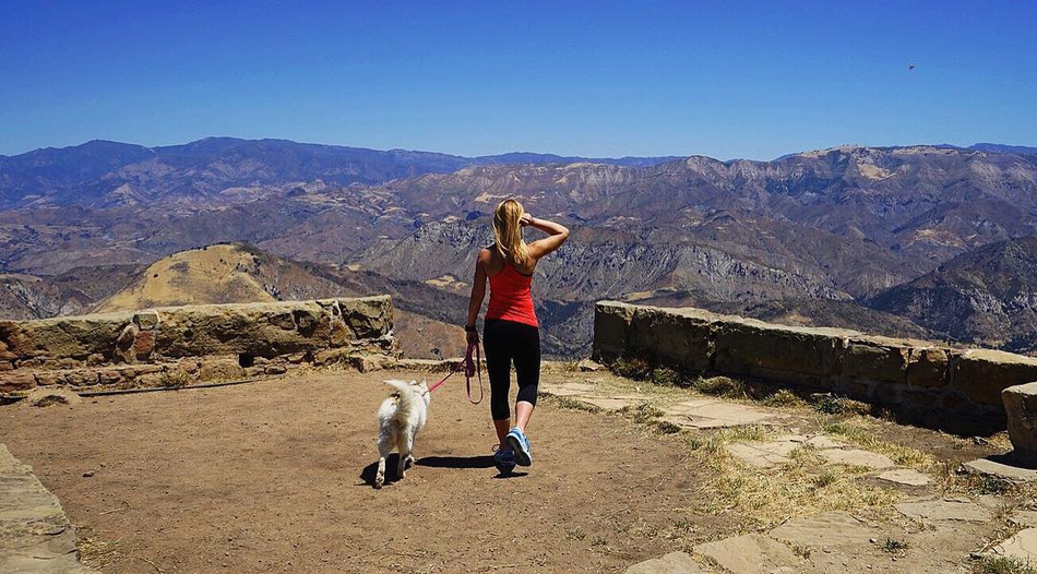 酸了酸了！又高又帅又富的他拥有全联盟球技最好的妻子