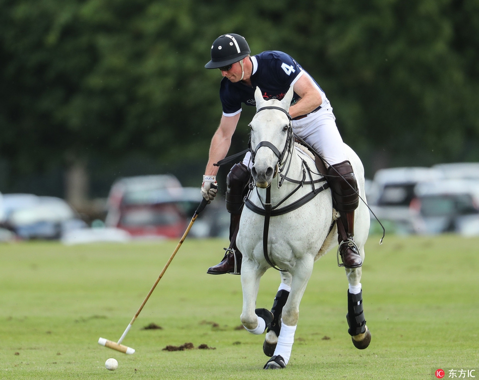 威廉王子的体育情结