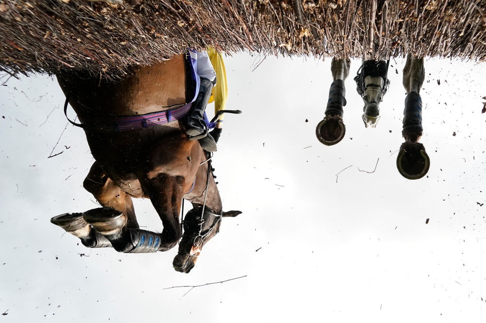 2019国际体育赛事酷图三