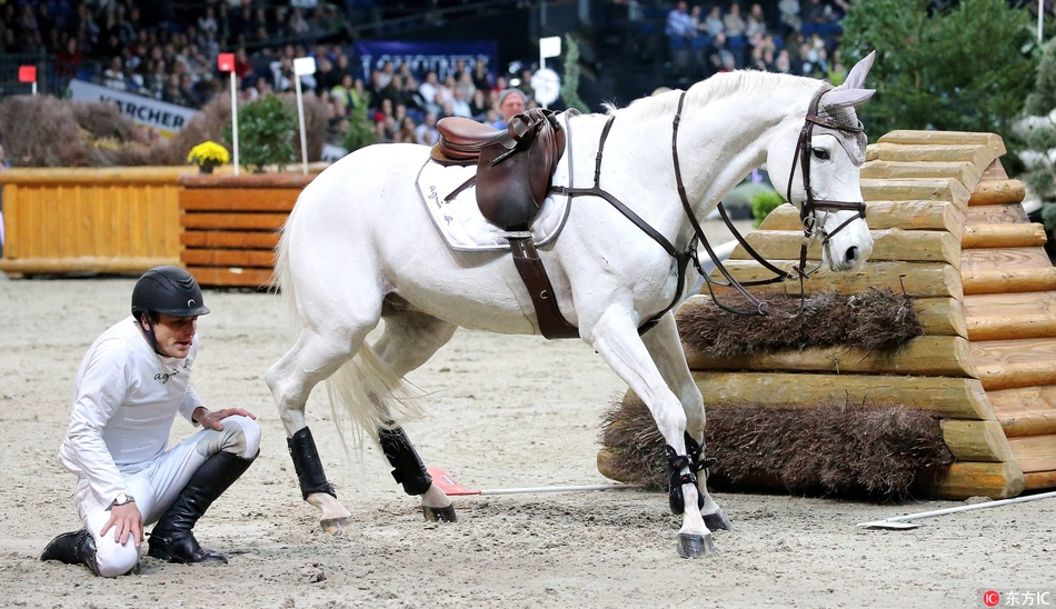 法国骑手摔马