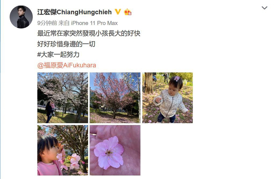 江宏杰晒子女近照 福原爱抱女儿站在樱花树下画面超美