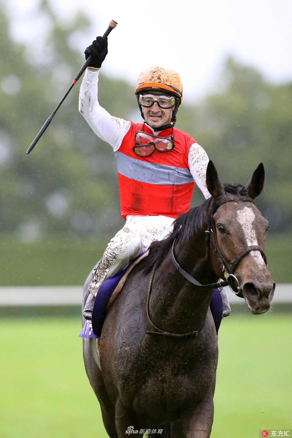 2017日本京都赛马秋华赏落幕,法国骑手克里斯托弗-勒梅尔与赛马