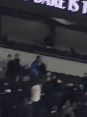 热刺大将冲上看台与球迷爆发冲突