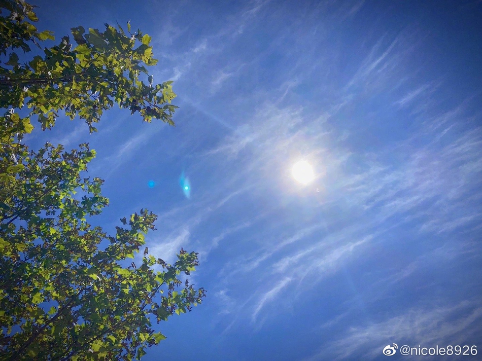 里约奥运会冠军魏秋月晒美拍