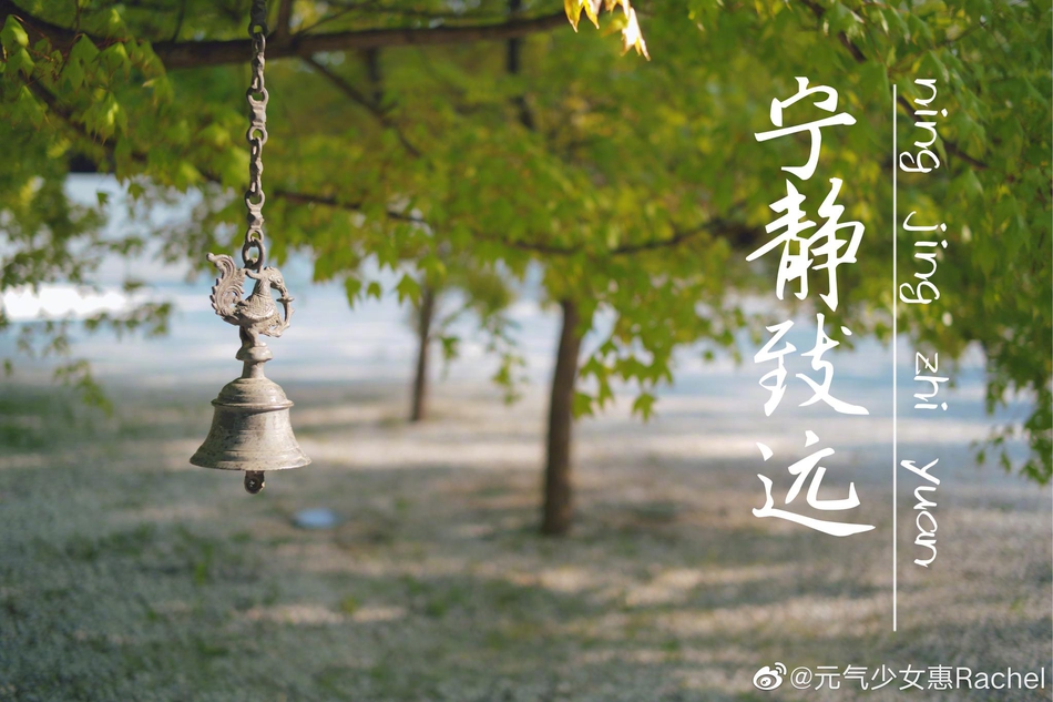 惠若琪春日游园忙里偷闲细弄茶