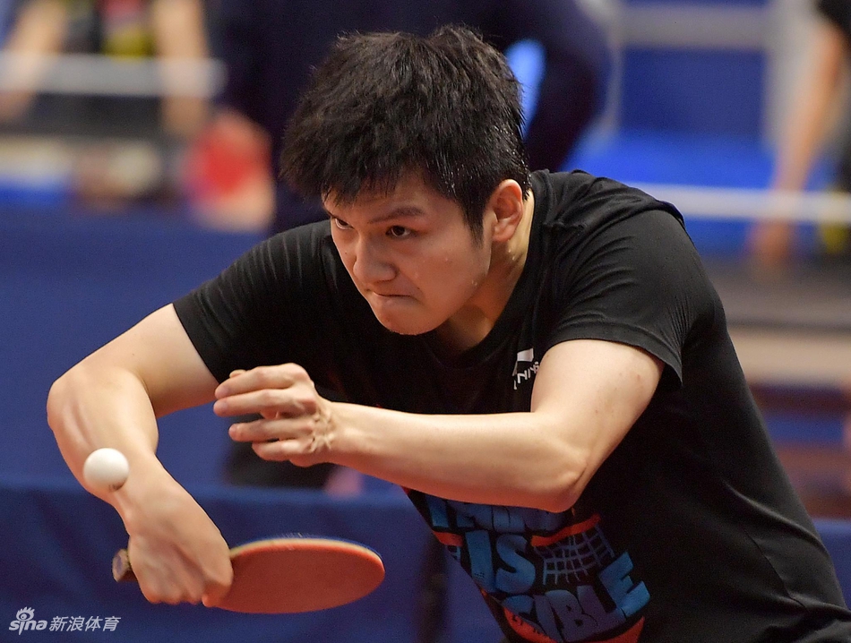 中国国家乒乓球队在多哈备战