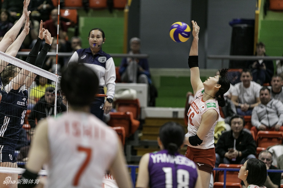 瑞士赛日本女排1-3波兰遭首败