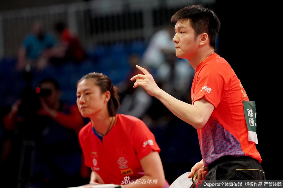 世乒赛丁宁/樊振东进混双正赛