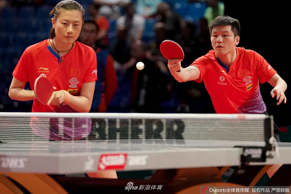 世乒赛丁宁/樊振东进混双正赛