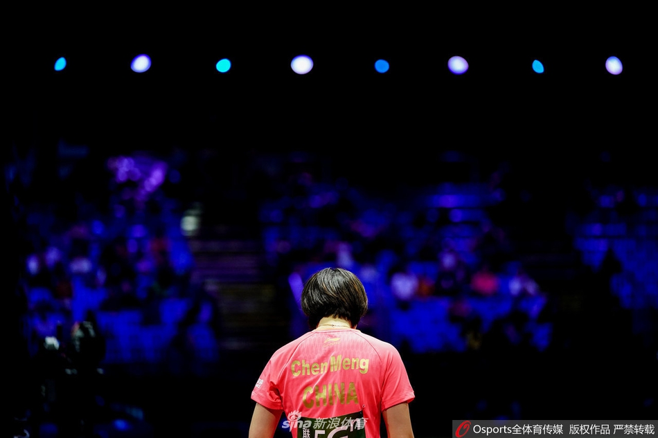 世乒赛刘诗雯力克陈梦夺冠